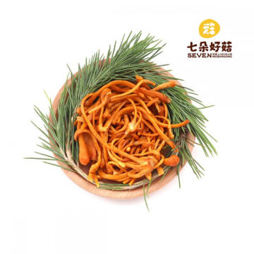 ISO22000 Healthy Frozen Cordyceps Flower